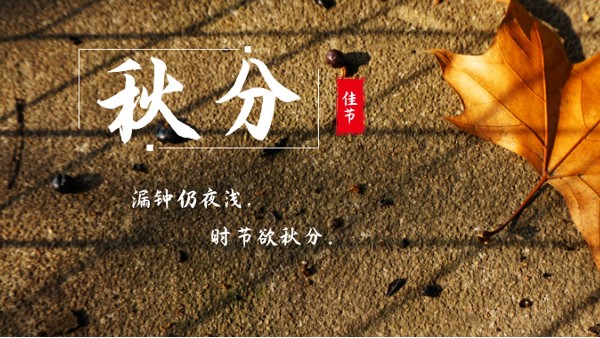 樓上樓門窗 | 白露秋分夜,一夜冷一夜，高端門窗安排上！